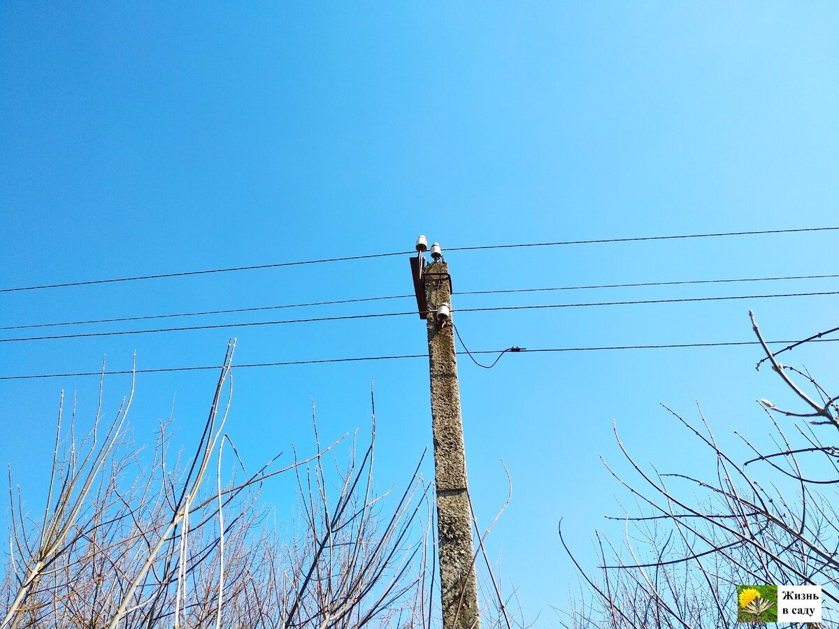 Тоже выход, на несколько лет хватает такой тотальной обрезки