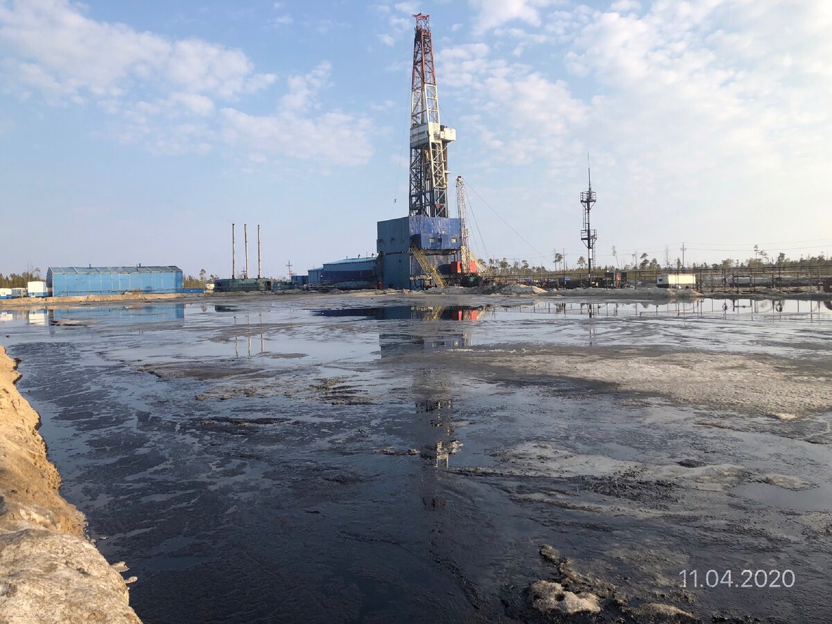 Вид в солнечный день