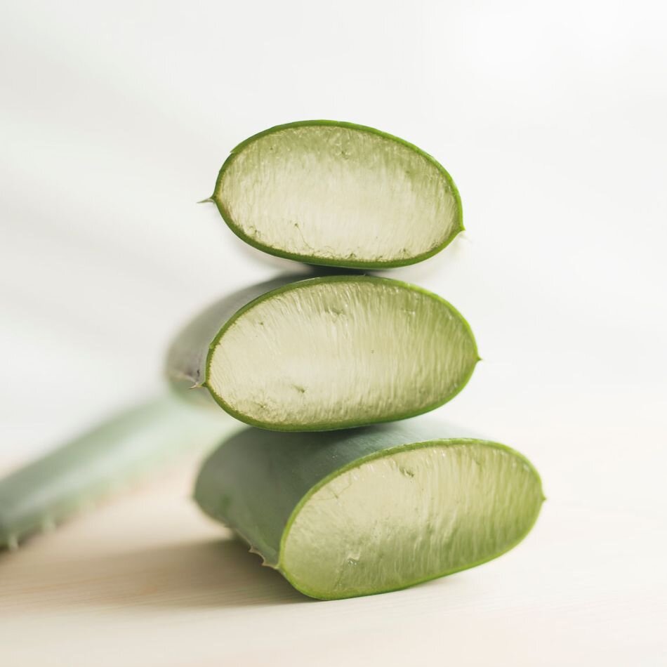 Алое вера в разрезе почти прозрачный