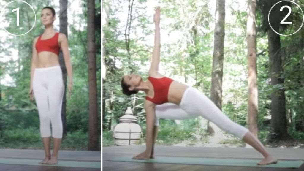 1-2 -3триместр