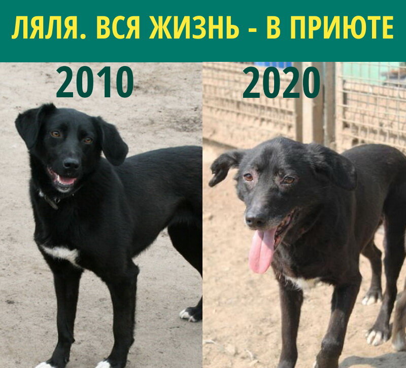 Никто не забрал домой
