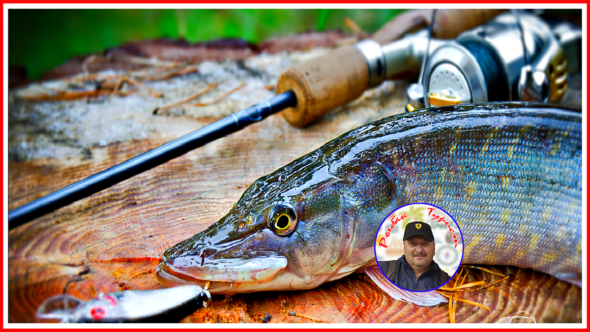 Поддержите канал лайком и подпиской! Спасибо! (фото Google.Картинки)