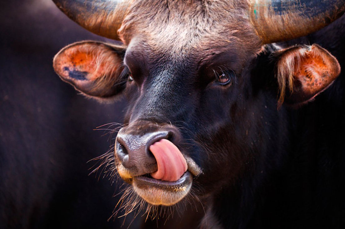 Меня зовут Глаша, здравствуйте!