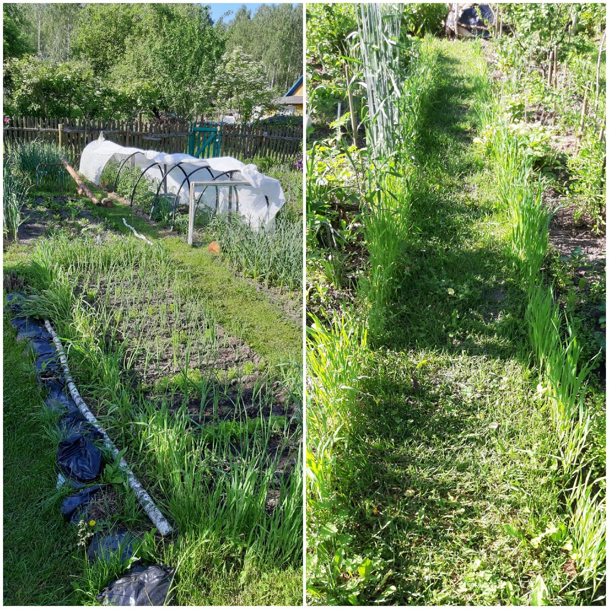 Первые солнечные дни после холодной весны. Фото автора