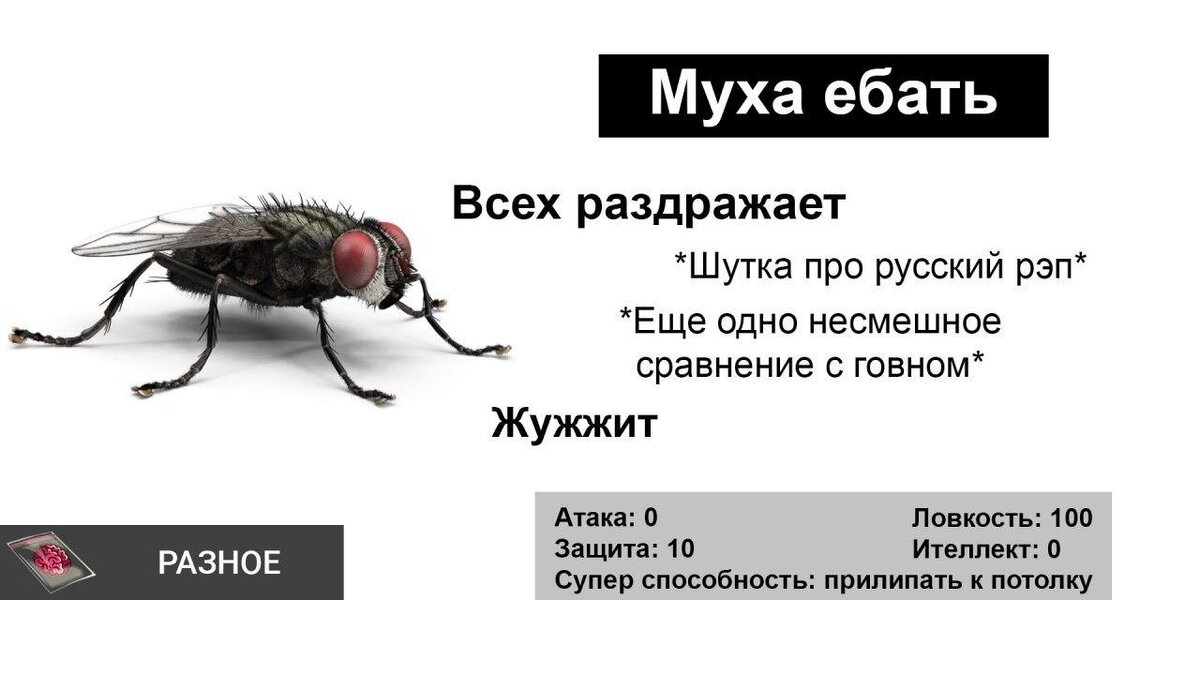 ЖЖЖ