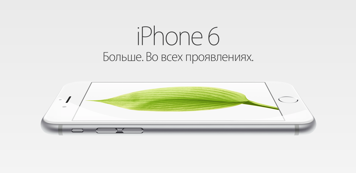 ФОТО ВЗЯТО ИЗ ОТКРЫТОГО ИСТОЧНИКА