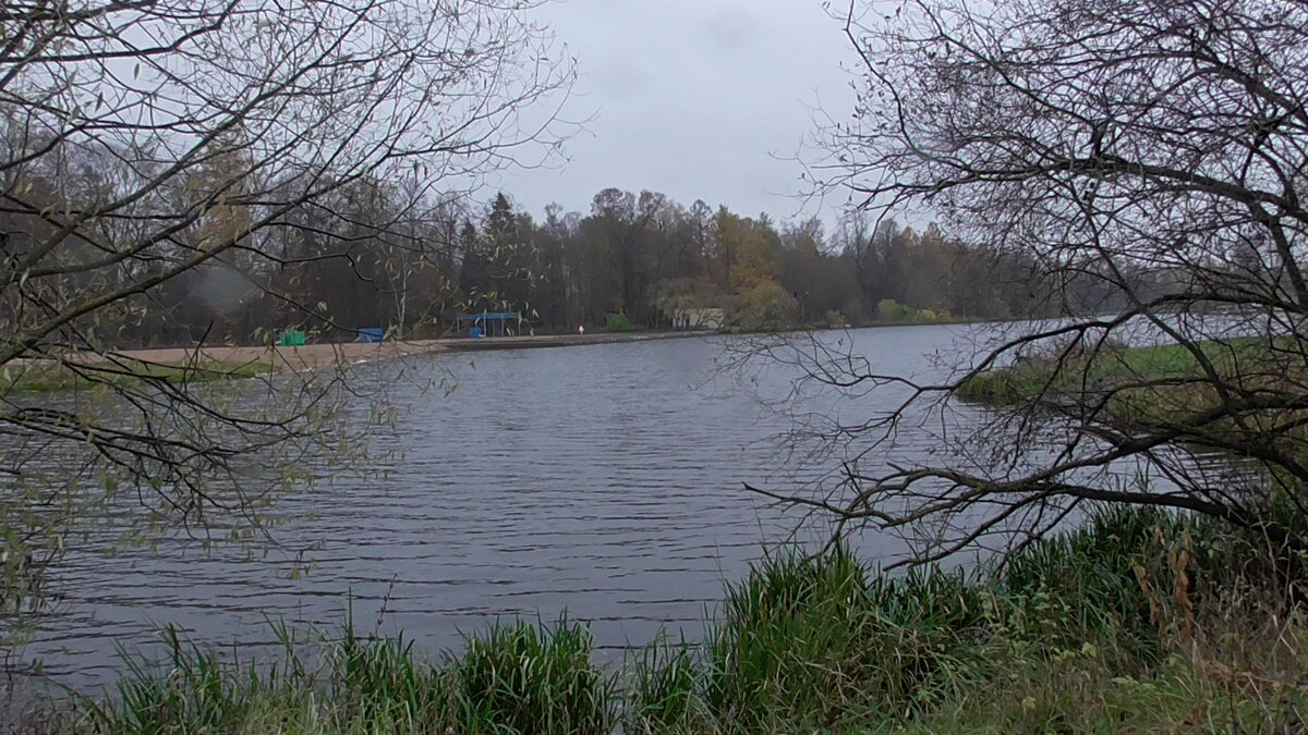 Колонистский пруд. Фото автора.
