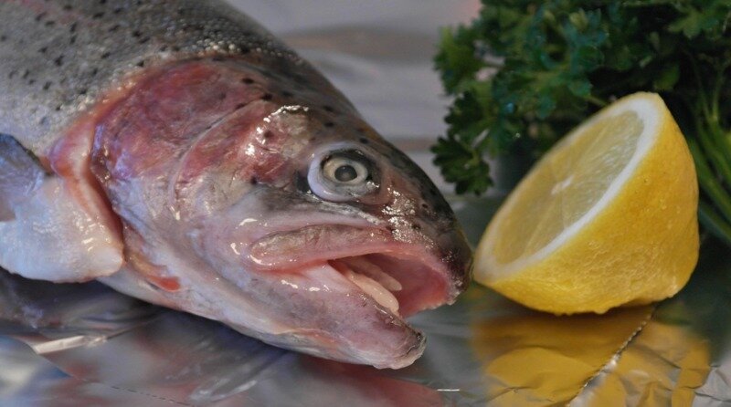 9 рыболовных хитростей в кулинарии