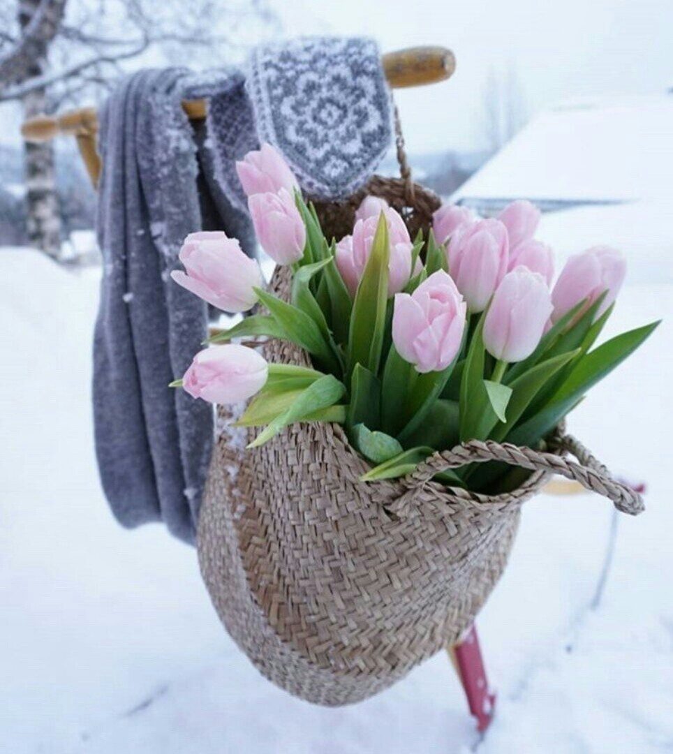 Зимнее чудо. Яндекс Картинки.