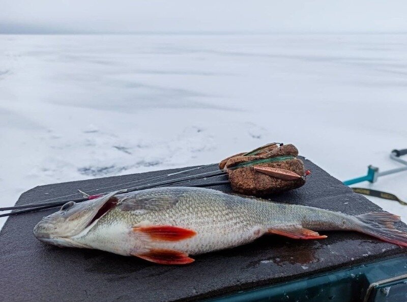 Фото https://www.instagram.com/p/CJDYpG1r-92/