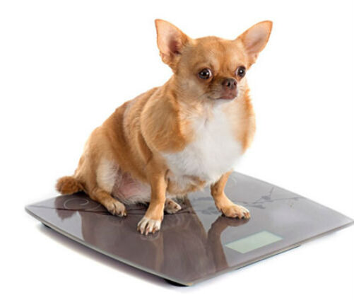 Развитие сердечной недостаточности