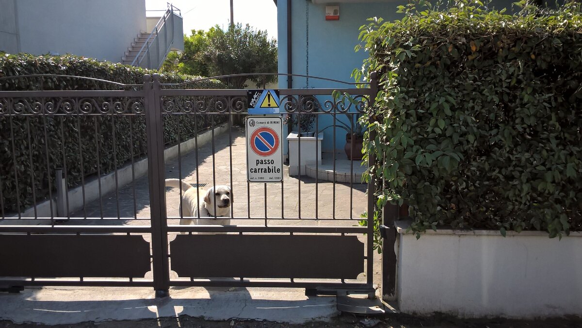 только контролирует 