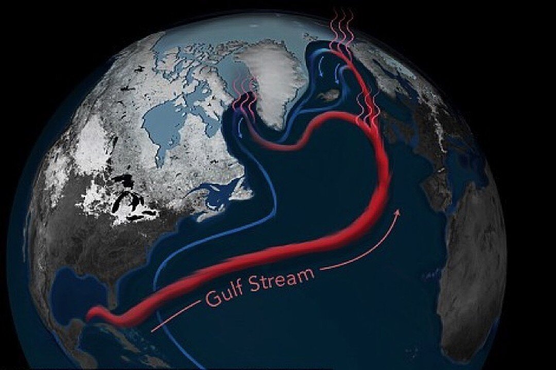 Гольфстрим новости. Гольфстрим течение. Течение Гольфстрим на карте. Гольфстрим замедляется. Замедление Гольфстрима.
