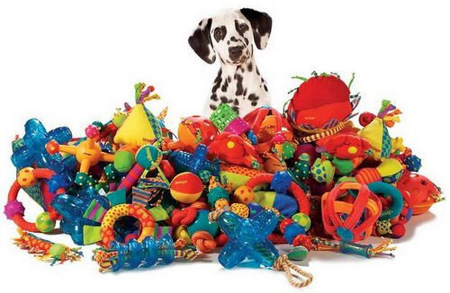 Игрушки для собак (правильные и интересные) | МИР СОБАК. Всё самое  интересное | Дзен