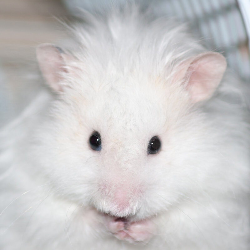 Картинка из сети интернет для иллюстрации