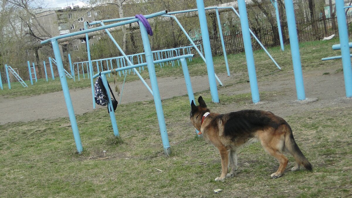 Хассо. Фото автора. 
