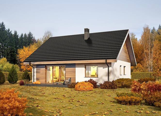 Источник картинки: pixabay.com