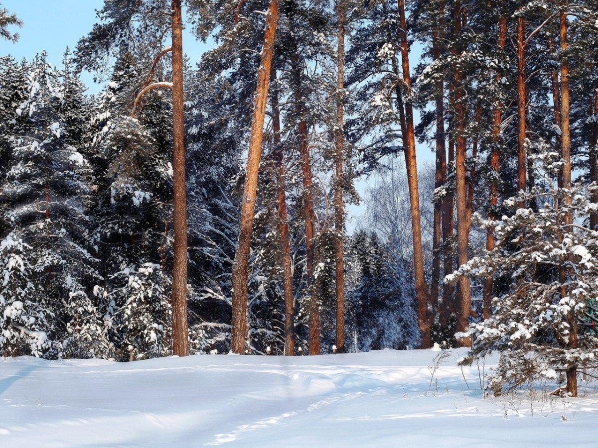 Конечно фотографии из открытых источников. Но  очень похоже.