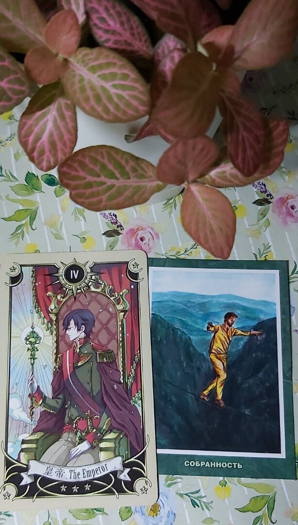 Карта дня 18.09.2021 года.
Старший Аркан Император и поясняющая оракульная карта Собранность.
Несмотря на то, что сегодня день выходной, расслабляться не стоит. От вас потребуются внимательность и готовность действовать точно, чётко, последовательно и эффективно. Не расслабляйтесь и держите под контролем все важные аспекты своей жизни. Если вам сегодня предстоит совершить большое количество дел, составьте план и строго следуйте ему. Собранность и повышенная концентрация внимания на главном помогут вам справиться с вызовами сегодняшнего дня самым благоприятным для вас образом.
Волшебного дня!

Колоды: "Mystical Manga Tarot" и МАК "Десять Ступеней Дзен".

#таро #тарорасклад #тароонлай #тарорасклад #картадня #советдня #советтаро #советоракула #сегоднясамыйлучшийдень #самопознание #саморазвитие #духовноеразвитие #духовныйпуть #духовность #таросемизвёзд #десятьступенейдзен #оракул #оракульныекарты #tarot #tarotcards #mysticalmangatarot #tenstepsofzen