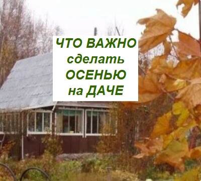 осенние работы на даче