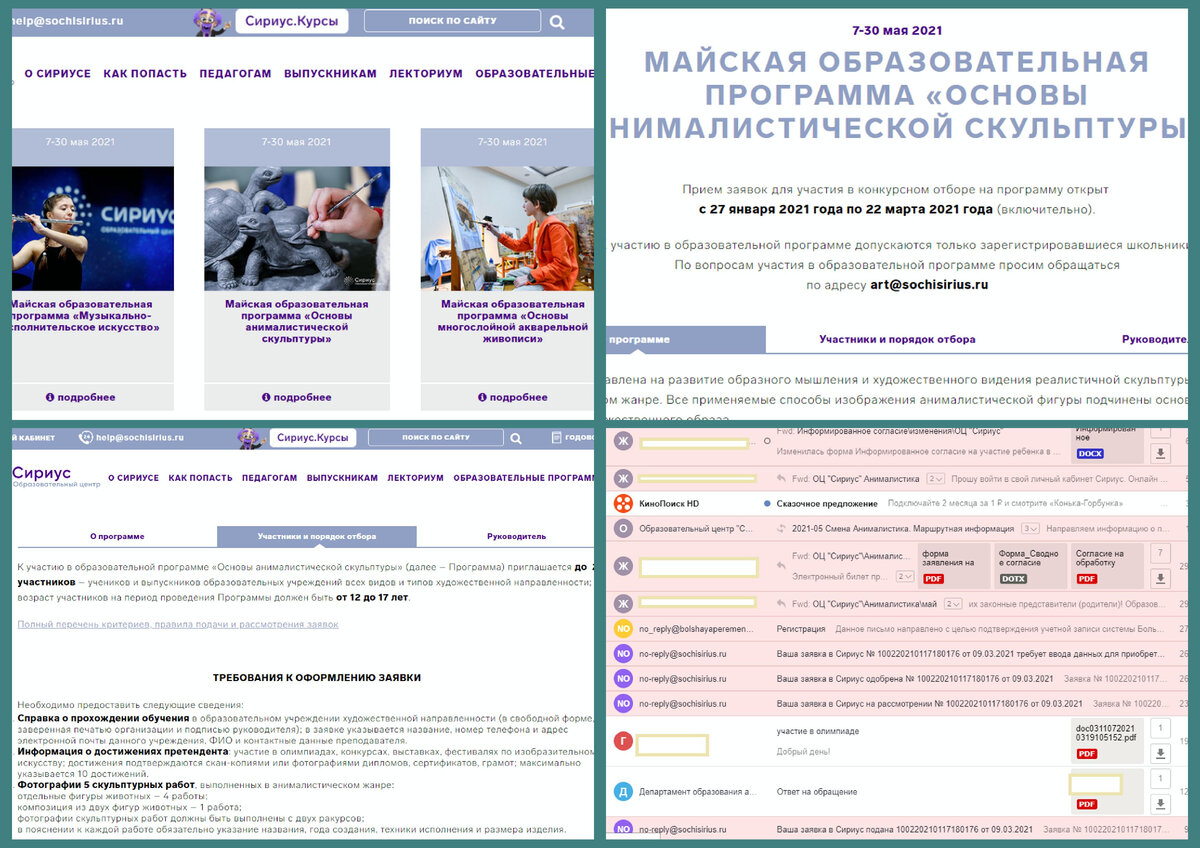 Описание программы на сайте Сириус