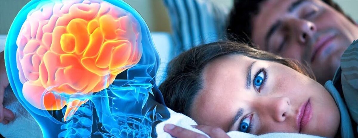 Сон с открытыми глазами поджаривает мозги