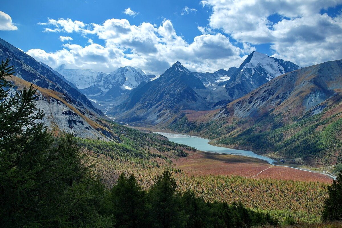 пейзаж алтайских гор