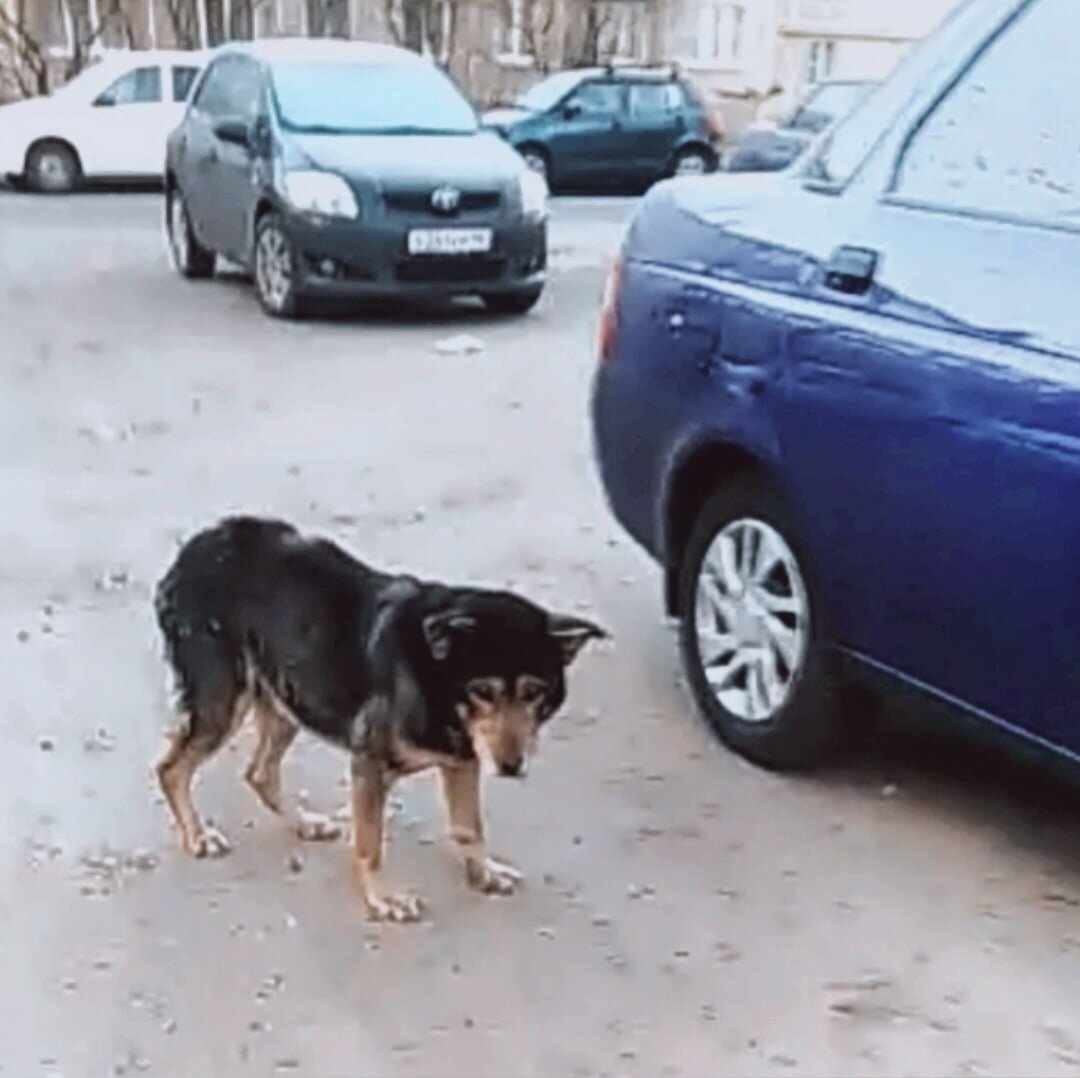 Мы не смогли пройти мимо этого поста