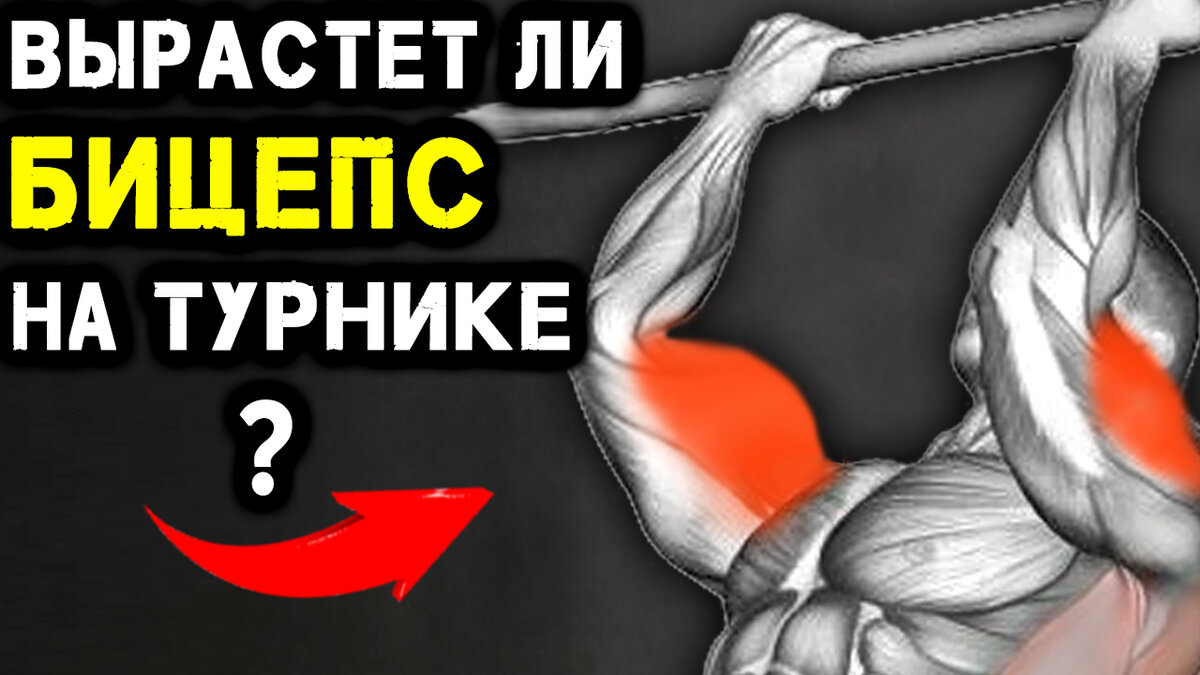 Эффективны ли упражнения на бицепс без отягощений? Выясняем | Воркаут -  Тренировки на турнике и брусьях | Дзен