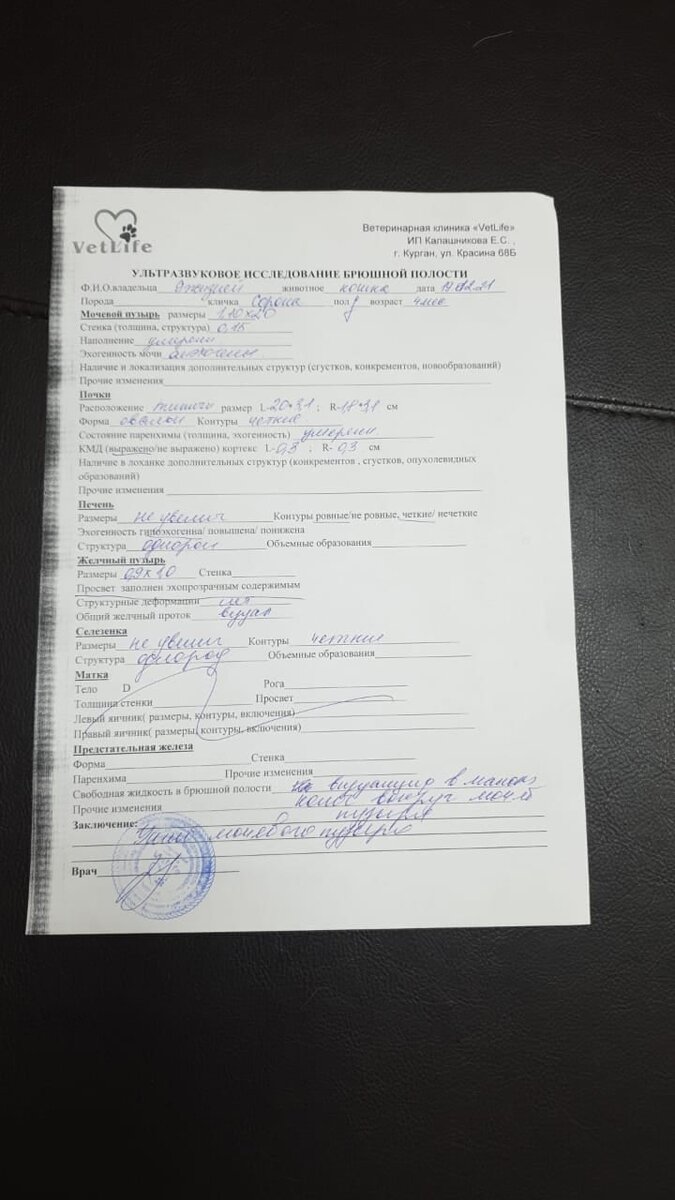 Результаты УЗИ