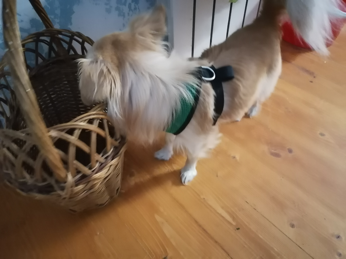 Джоник ждёт подписчиков) 