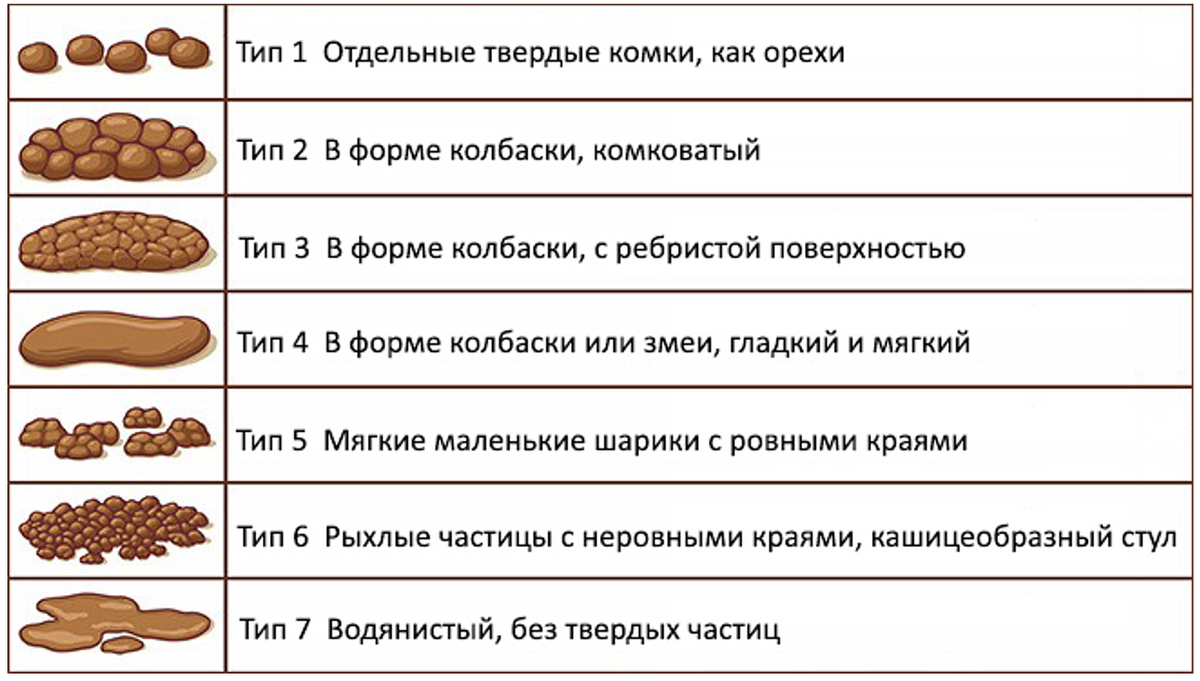 Копрофемия. Бристольская шкала формы кала. Бристольская шкала формы стула Тип 2. Бристольская шкала формы кала у детей. Синдром раздраженного кишечника клинические рекомендации 2022.