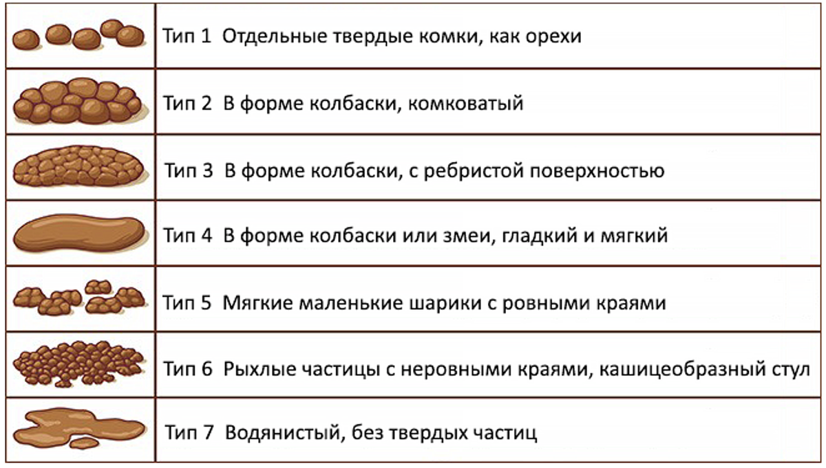 Chto kak ru. Бристольская шкала формы кала. Бристольская шкала стула овечий кал. Классификация стула Бристольская шкала. Бристольская шкала формы кала таблица.