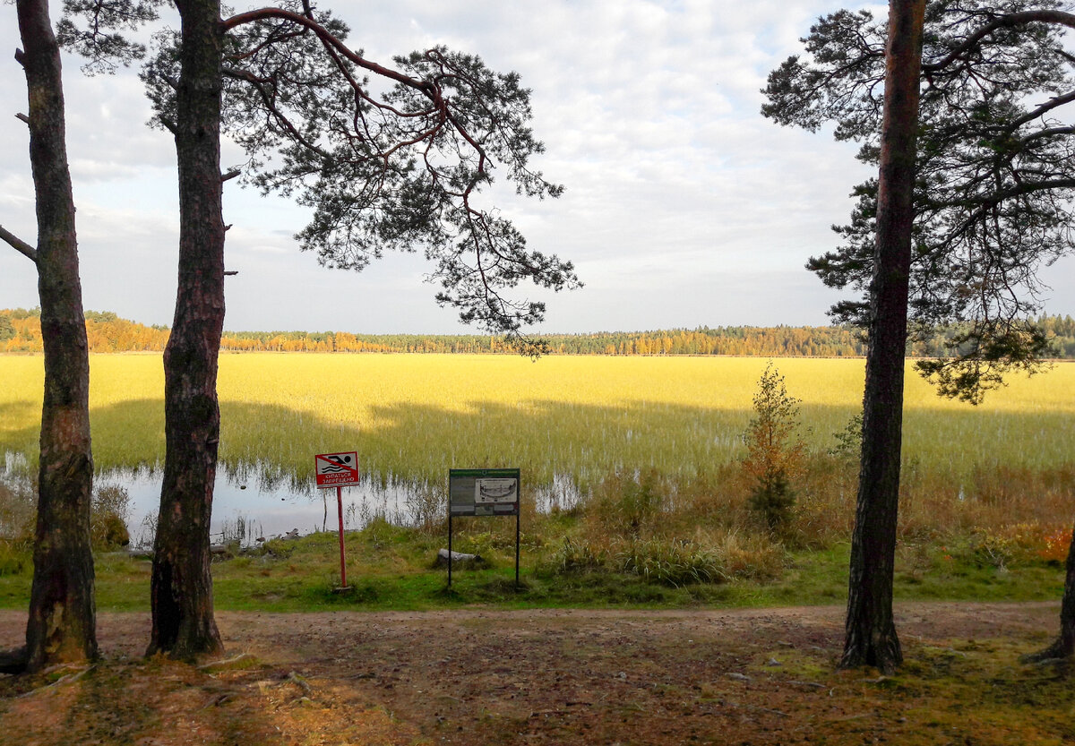 Калищенское озеро