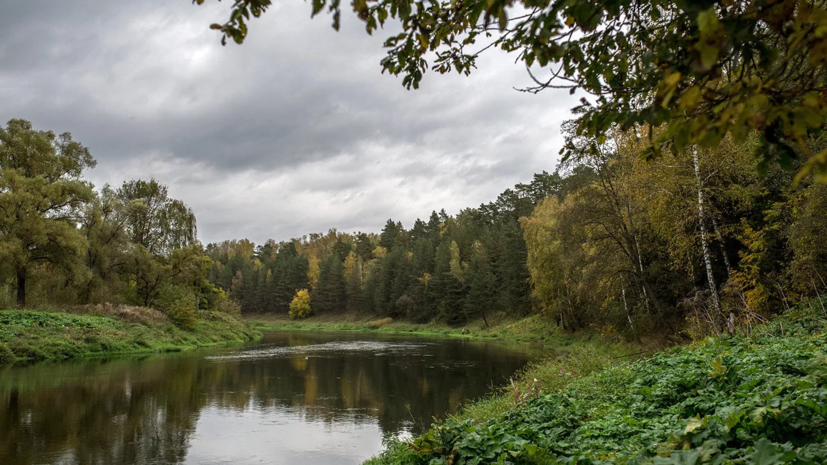   РИА Новости