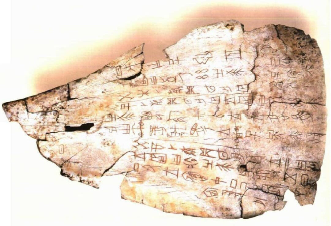 Китайские иероглифы – один из древнейших видов письменности на земле. История их происхождения восходит к позднему периоду правления династии Шан (XIV-XI в.в. до н.э.). В те времена люди часто обращались к гаданиям, чтобы найти ответы на такие важные вопросы, как будет ли дождь и щедрый урожай, родится ли у императорской семьи достойный наследник, стоит ли заключать военный союз с соседями и т.д. 
Для проведения ритуала предсказания бралась лопаточная кость крупного животного, например, оленя или коровы, или панцирь взрослой черепахи. На них особым образом наносились углубления, которые затем прижигались тлеющей палочкой. По рисунку, образованному трещинами на оборотной стороне панциря или лопаточной кости, узнавали результаты гадания. Получившийся знак, как правило, дополнительно очерчивали острием ножа, поэтому его линии были короткими и угловатыми.  
Символы, образовавшиеся в результате гадания, легли в основу надписей, которые во всем мире известны под названием «гадательные надписи на костях и панцирях черепах», или甲骨文 «цзягувэнь»  (иероглиф甲значит панцирь,  骨 – кость, 文 – надписи).
Цзягувэнь впервые были обнаружены в 1899 году вблизи города Аньян в провинции Хэнань. Поскольку на территории современного Аньяна располагался древний город Инь, служивший столицей правителям династии Шан, гадательные надписи в специализированной литературе также называются «иньскими письменами».