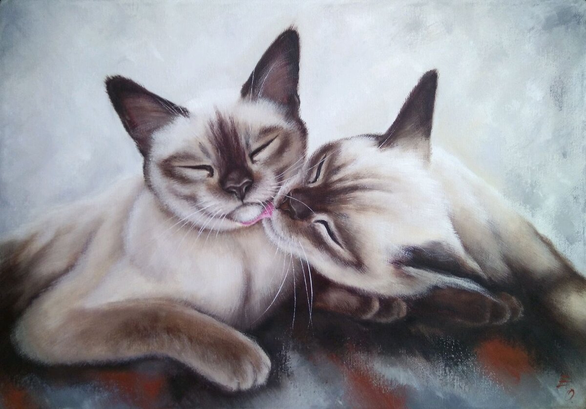 ����� ���������