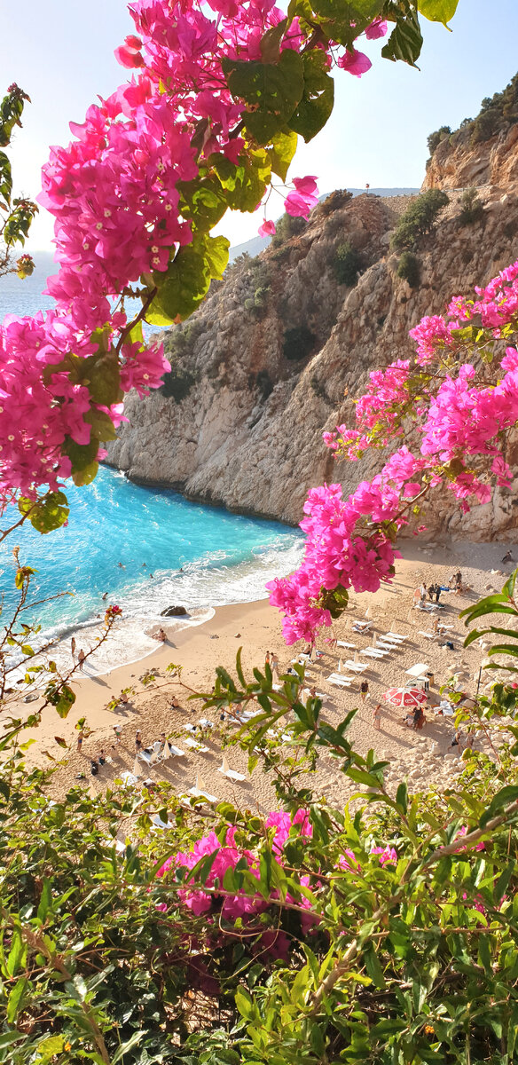 Фото от 19.11.22 днём