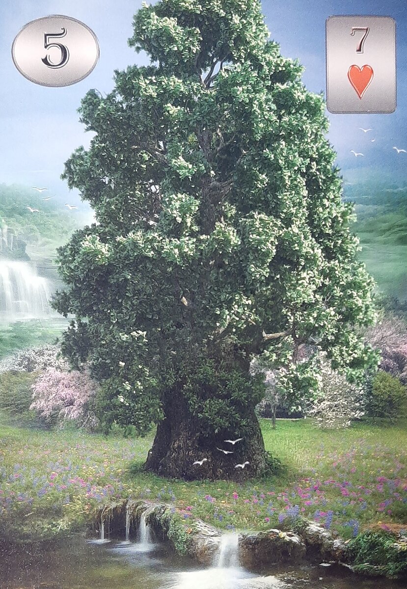 Thelema Lenormand. Renata Lechner