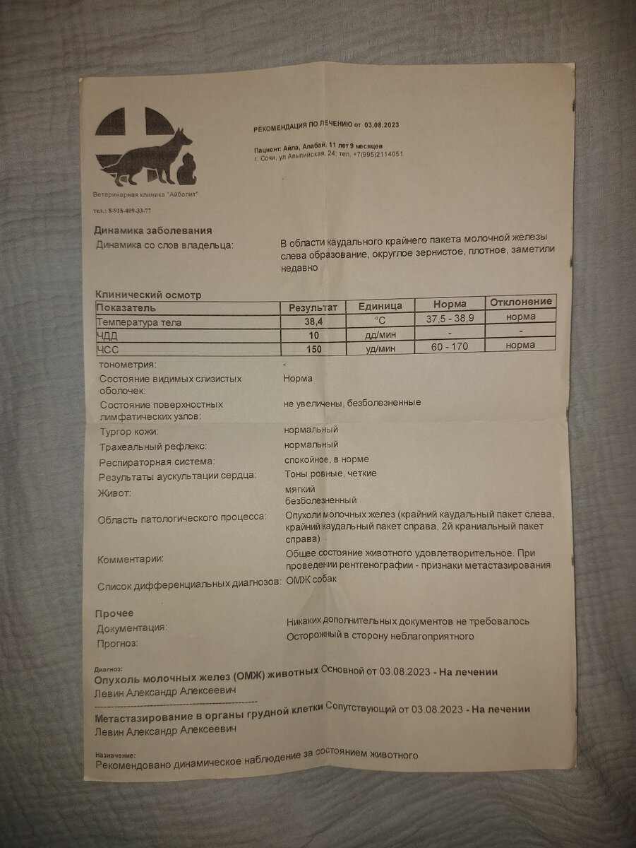 С момента постановки диагноза прошло 2 недели....а я до сих пор сама не своя....