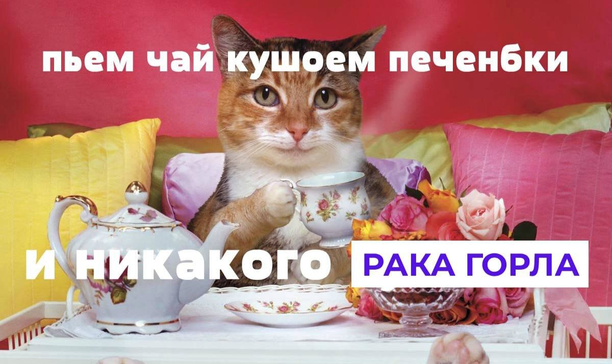 Пьём чай и никакого суецыда