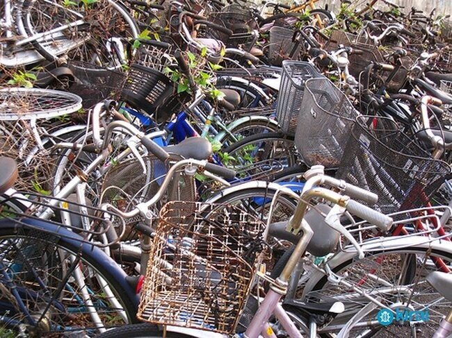 Фото взято из Интернета.