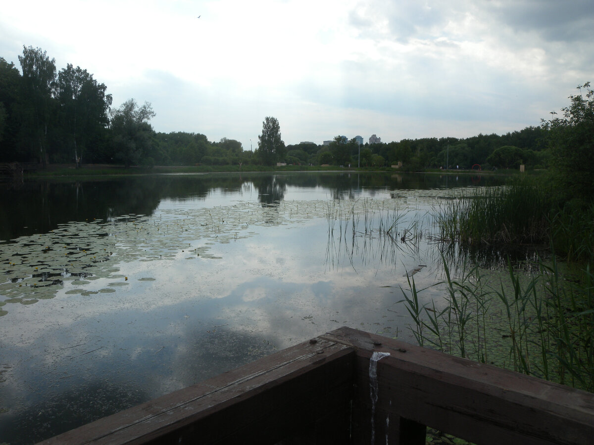 одна из смотровых площадок в парке