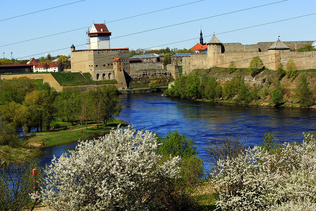 Старое русло реки Нарва. / ria.ru