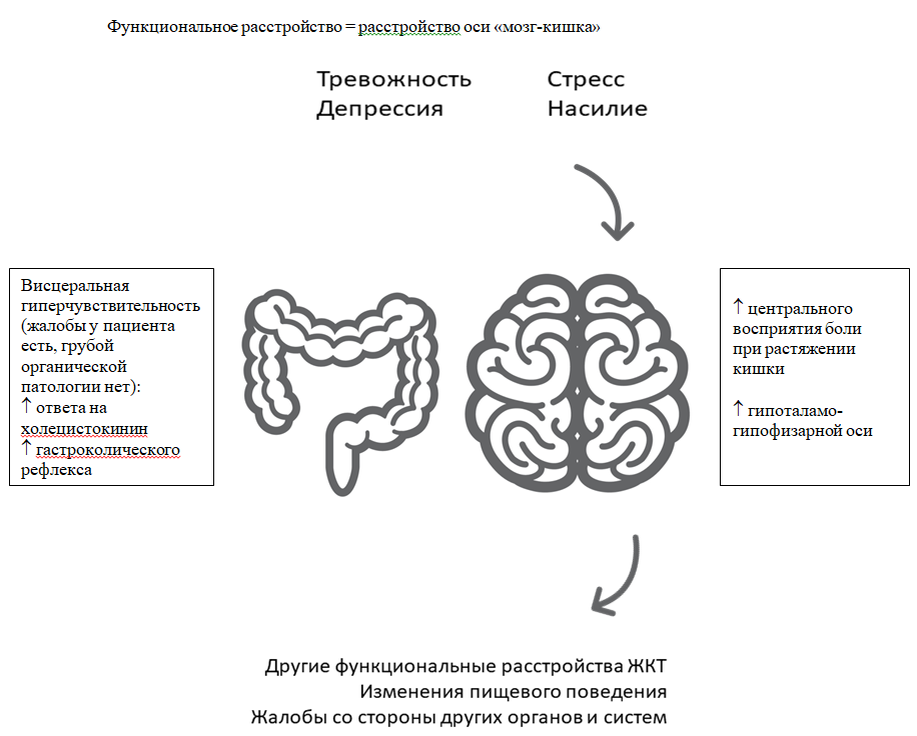 Расстройство кишечника при беременности. Другие функциональные кишечные нарушения. Функциональные заболевания кишечника. Акт дефекации Толстого кишечника. Долихосигма синдром раздраженной толстой кишки.