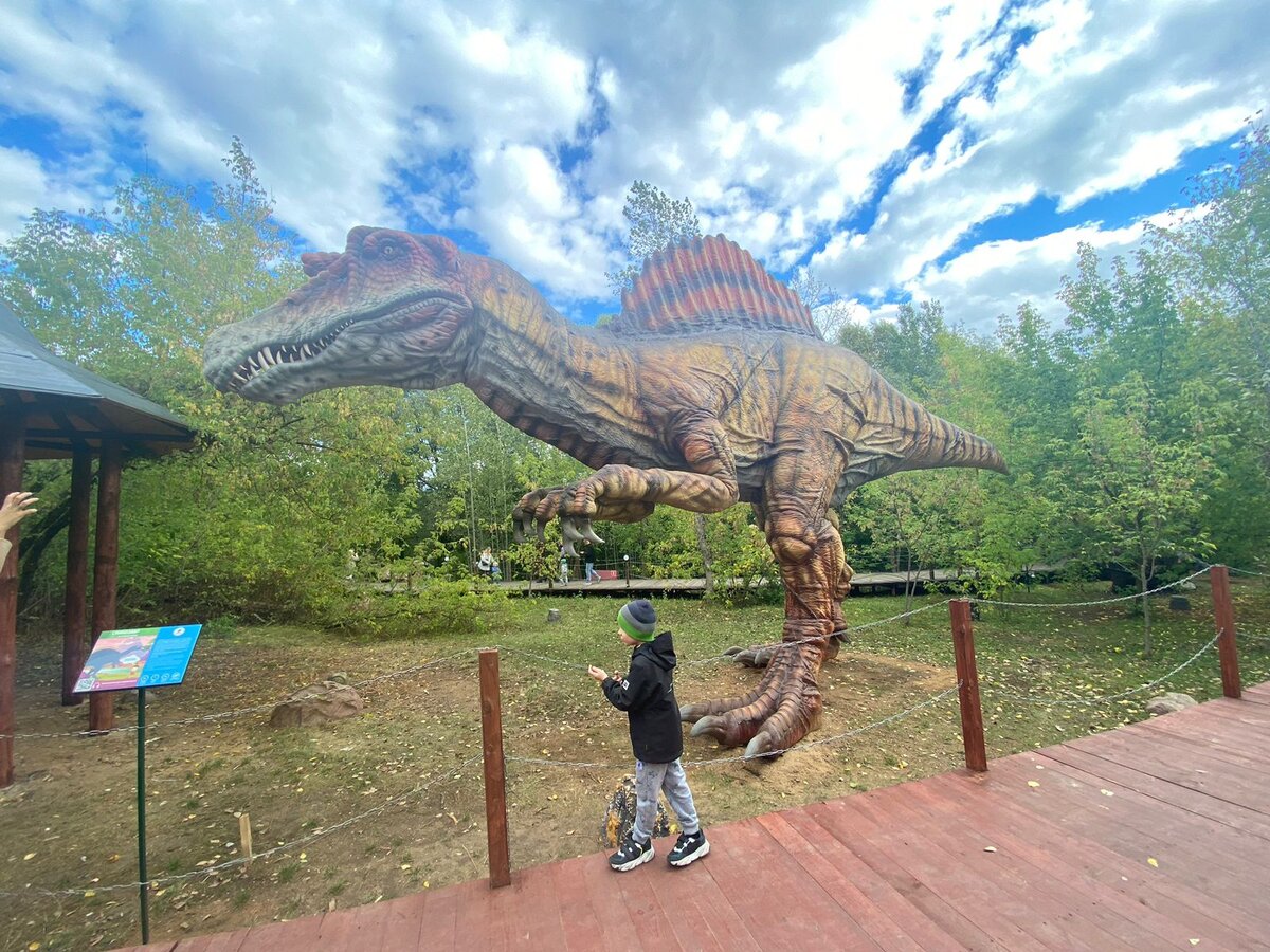 Благодаря акции Ваня сходил в парк динозавров бесплатно. Фото автора 