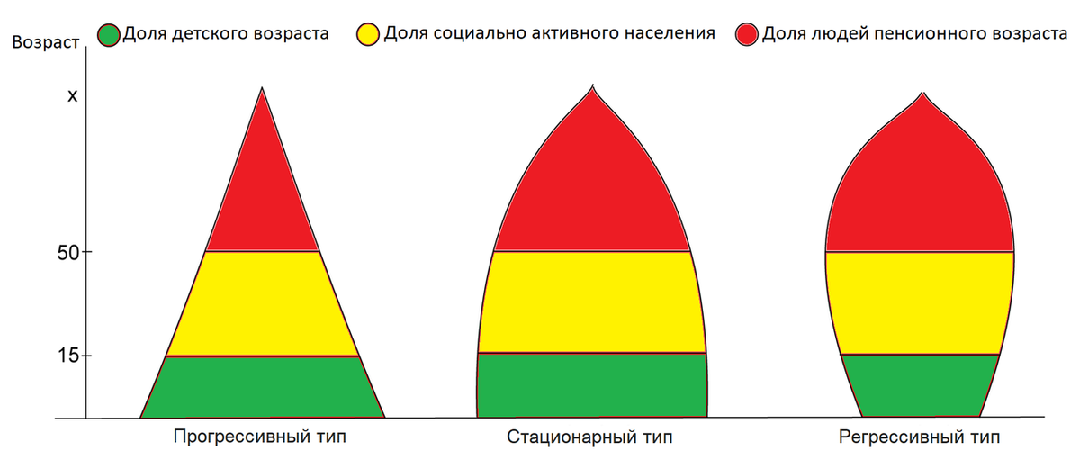 Типы возрастных пирамид. Источник: Википедия