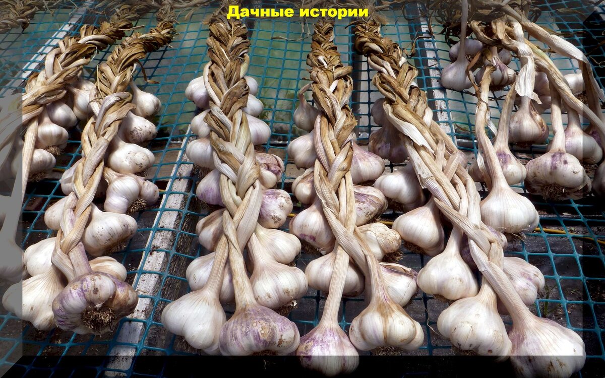 https://vk.com/photo-159774511_457261699