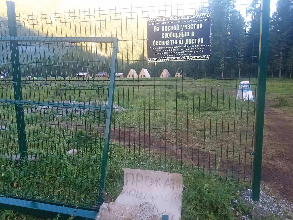 Фото Ольга Шадрина. Фото с тедефона