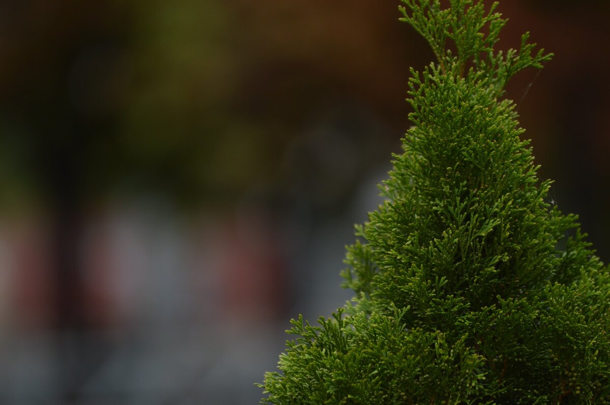 Photo by Vlad Vovk / Unsplash 